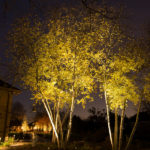 Pro Tech Landscape Lighting Services - 03